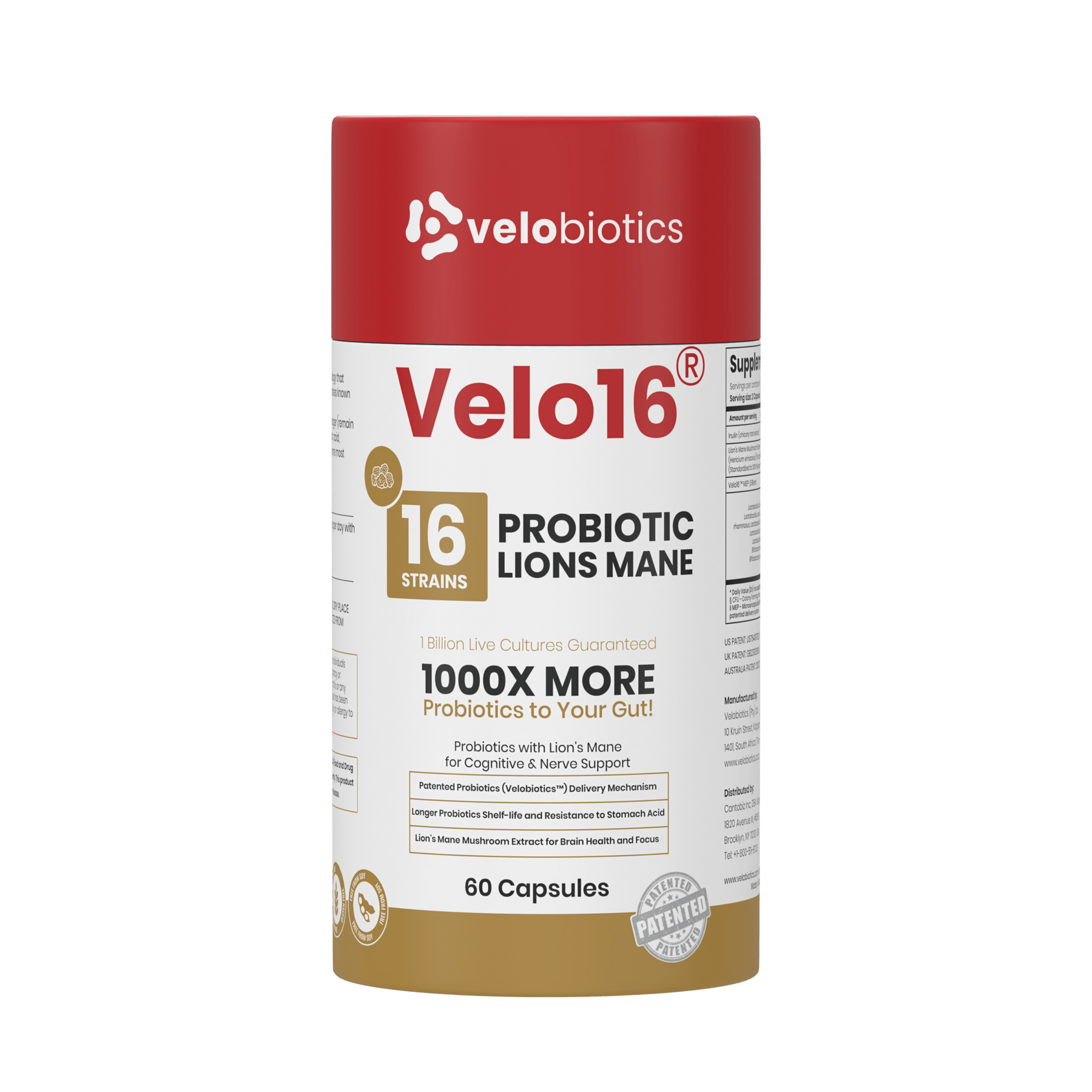 Velo16 Probiotics Lion's Mane - Velobiotics