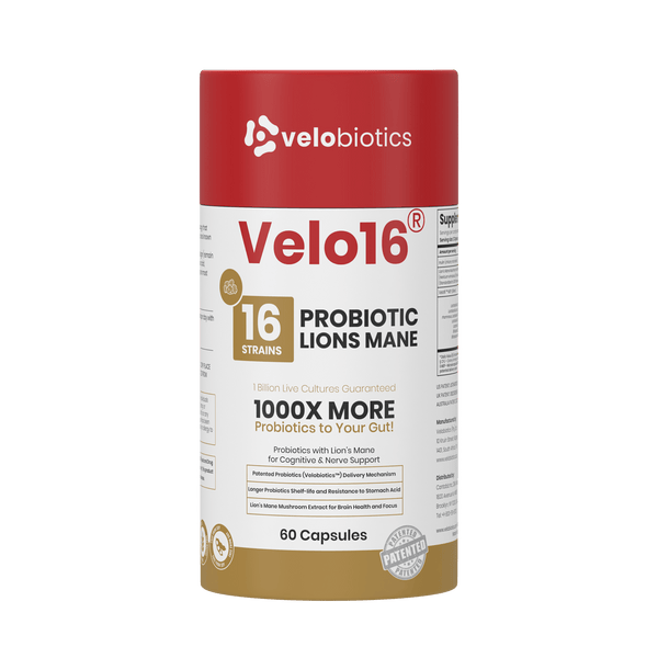 Velo16 Probiotics Lion's Mane