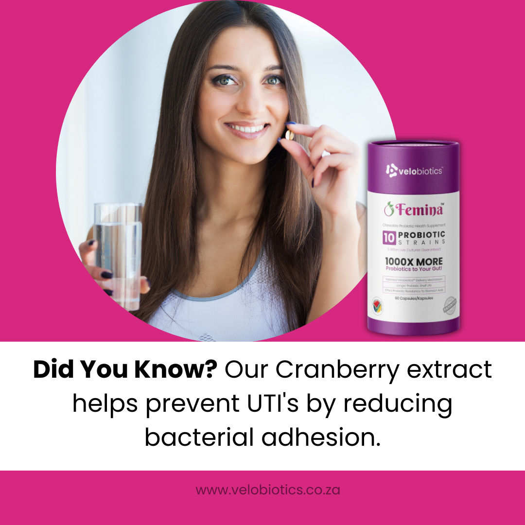 C-Essentials Kit with Femina Cranberry Probiotics supporting fertility and urinary health