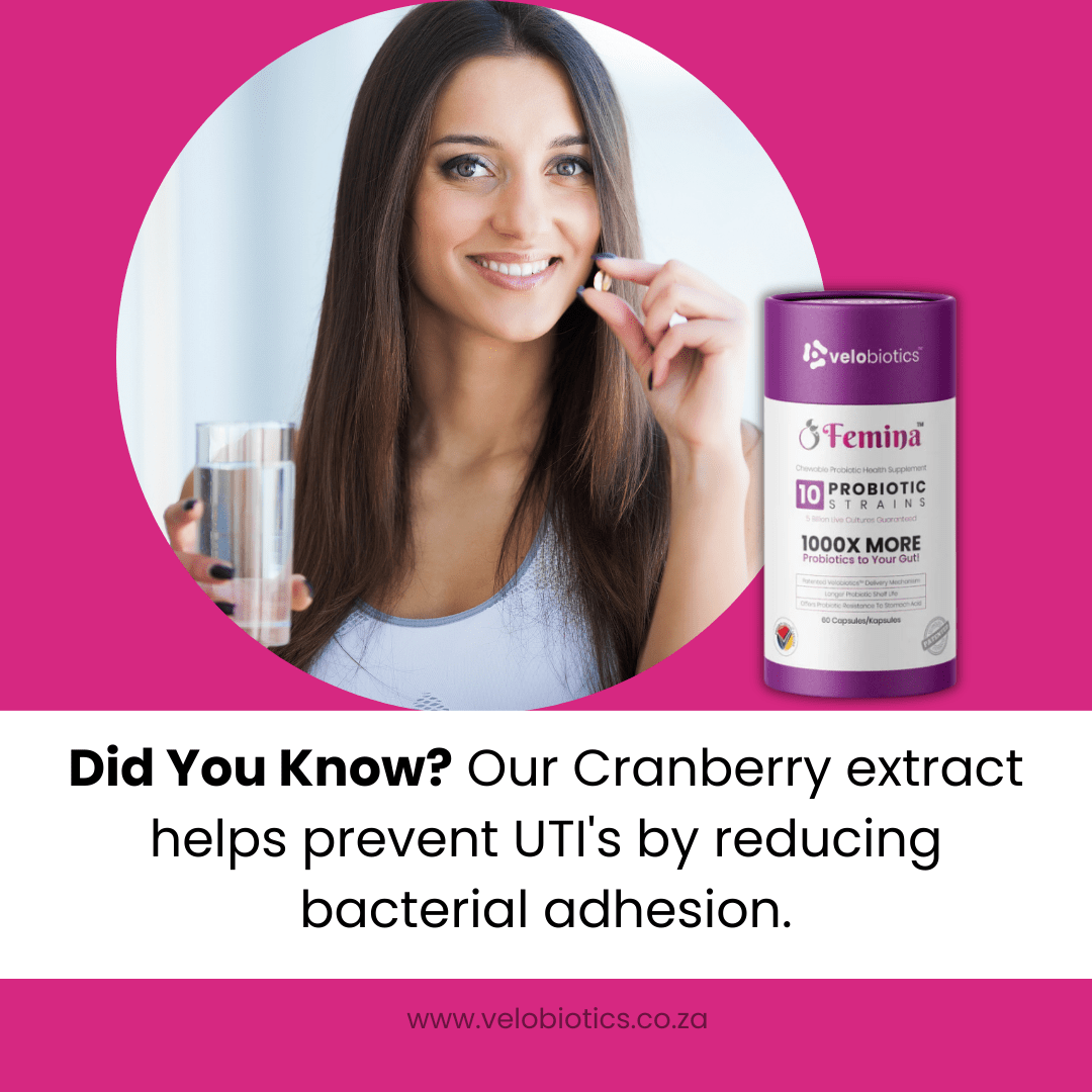 TC - Essentials Kit - Velobiotics