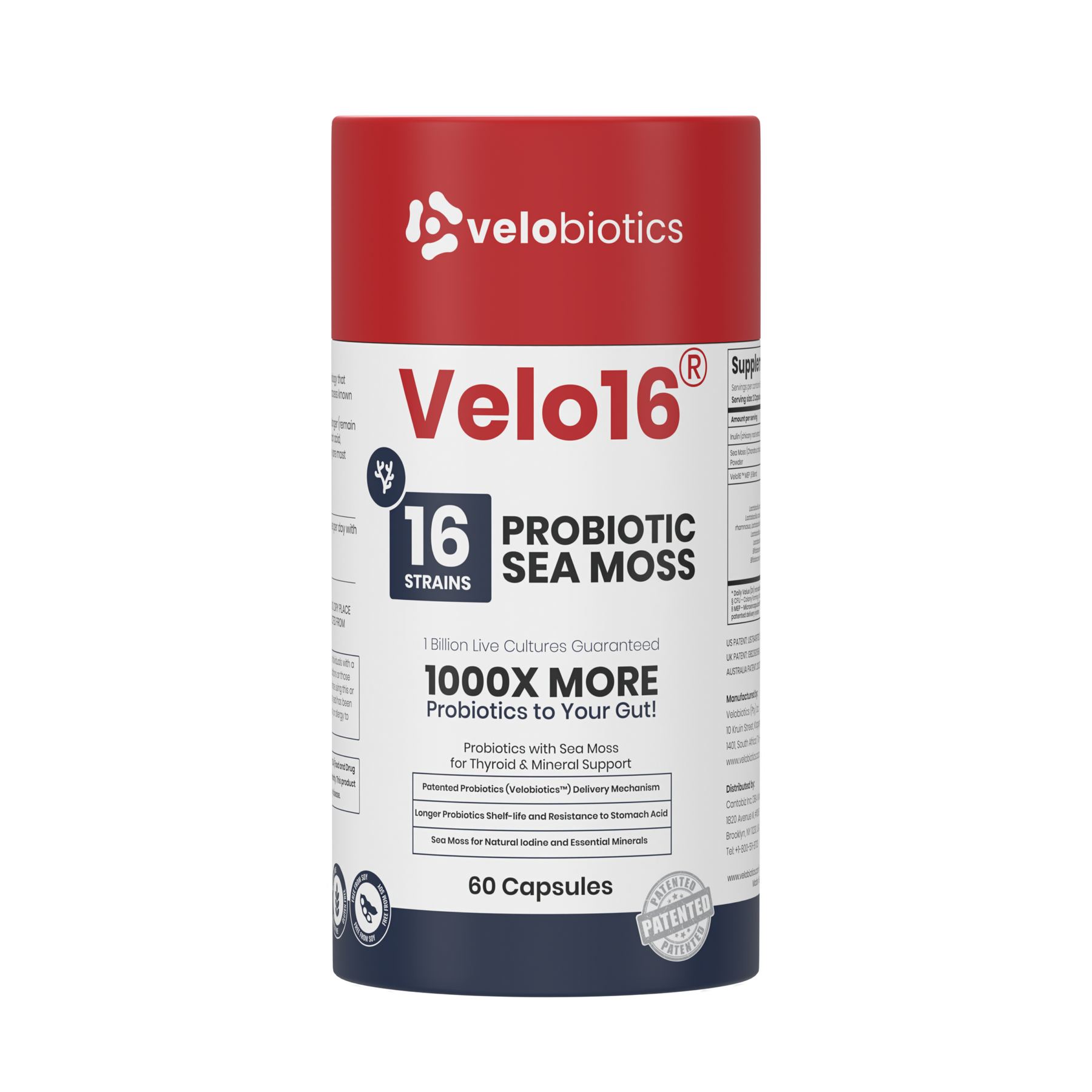 Velo16 Probiotics Sea Moss supplement bottle with 16 probiotic strains and sea moss for thyroid and gut health, 60 capsules.