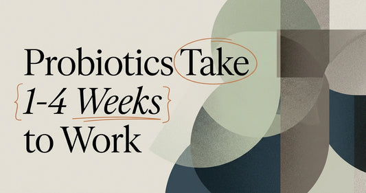 How Long Do Probiotic Supplements Take to Work?