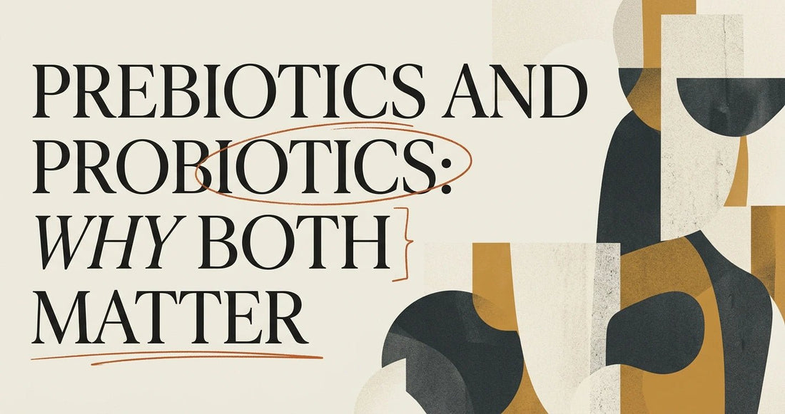 Prebiotic and Probiotic Supplements: Why You Need Both - Velobiotics