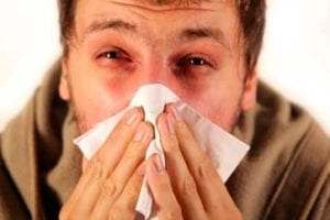 Allergies – The Sneezing Sickness - Velobiotics 