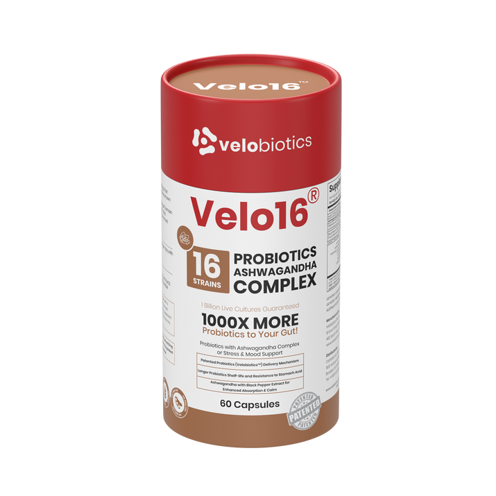 Velo16 Probiotics + Ashwagandha capsules supplement with 16-strain probiotic blend, zinc, and prebiotic fiber for gut health, immunity, and skin support.
