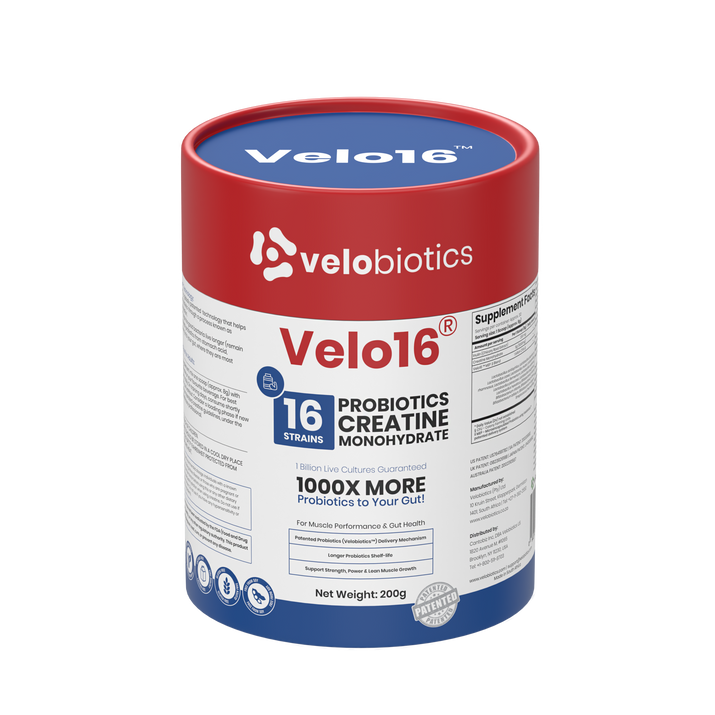 Velo16 Probiotics Creatine Monohydrate supplement powder for muscle performance and gut health with 16 probiotic strains and 5g creatine.