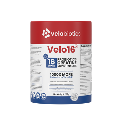 Velo16 Probiotics Creatine Monohydrate supplement with 16 strains for muscle performance and gut health, 200g container