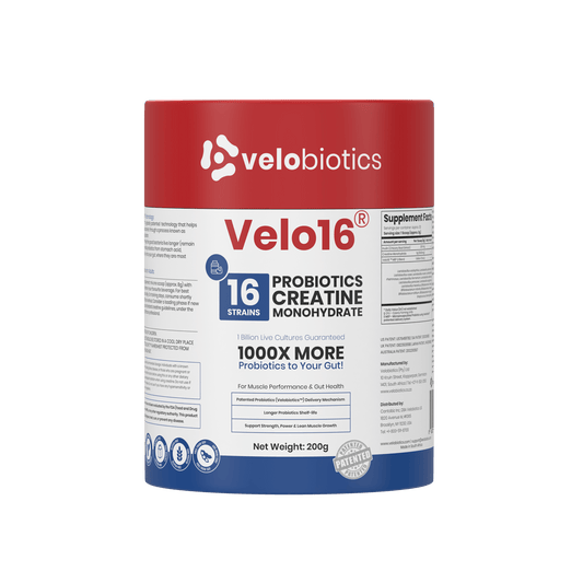 Probiotics Creatine