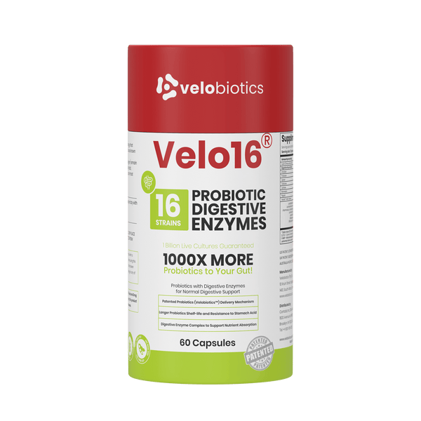 Velo16 Probiotic + Digestive Enzymes Complex - Velobiotics
