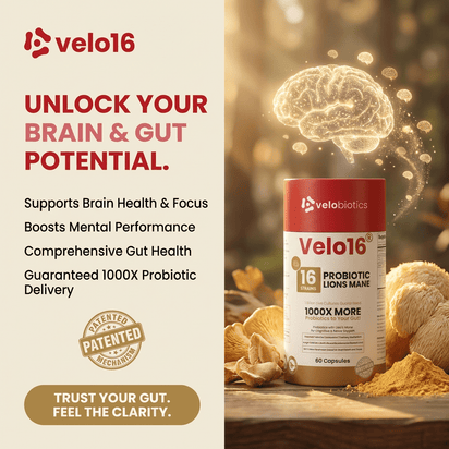 Velo16 Probiotics Lion's Mane - Velobiotics