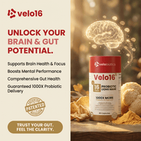 Velo16 Probiotics Lion's Mane - Velobiotics