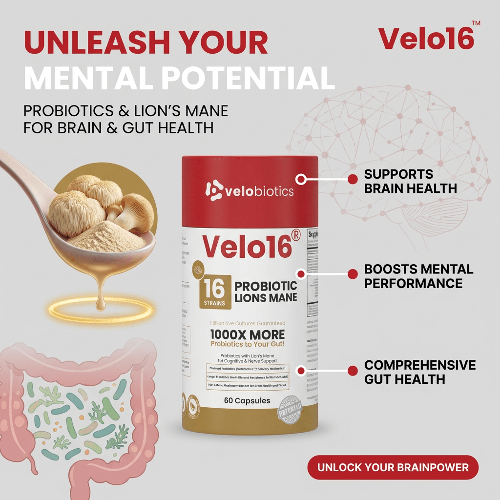 Velo16 Probiotics Lion's Mane - Velobiotics