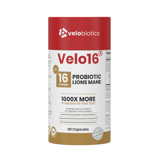 Probiotics Lion's Mane