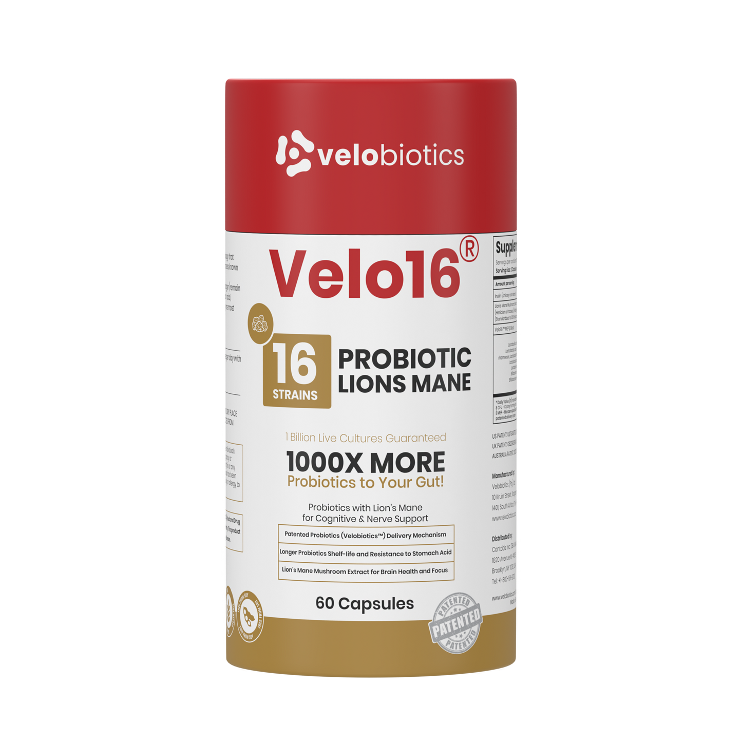 Velo16 Probiotics Lion's Mane supplement bottle for cognitive and gut health with 16 probiotic strains and Lion's Mane extract
