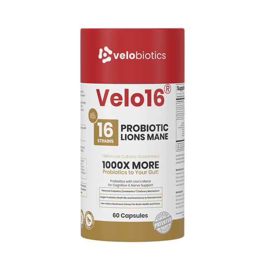Velo16 Probiotics Lions Mane supplement bottle with 16 strains for gut health and cognitive support, 60 capsules.