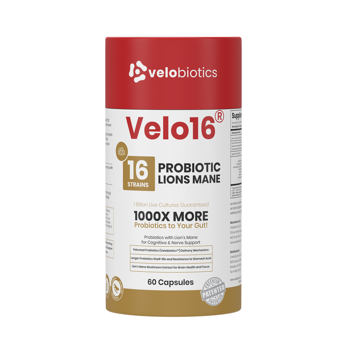 Velo16 Probiotics Lion's Mane supplement bottle for cognitive and gut health with 16 probiotic strains and Lion's Mane extract