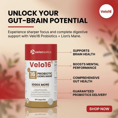 Velo16 Probiotics Lion's Mane - Velobiotics