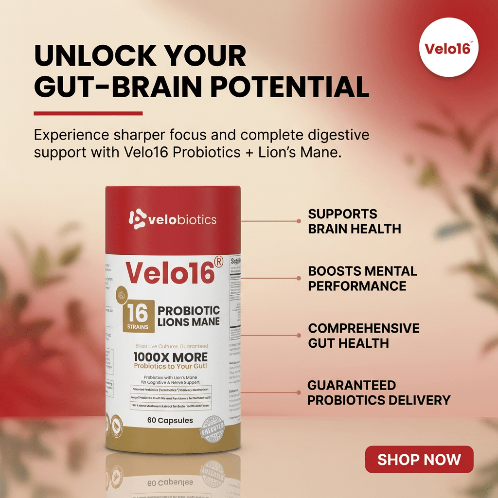 Velo16 Probiotics Lion's Mane - Velobiotics
