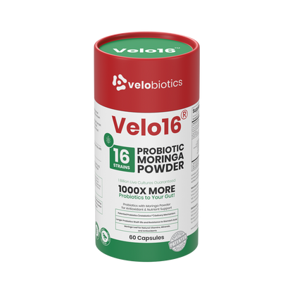 Velo16 Probiotics Moringa Powder supplement with 16 probiotic strains and moringa for gut health and immune support, 60 capsules