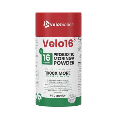 Velo16 Probiotics Moringa Powder supplement with 16 strains, 1 billion CFUs, antioxidants, and nutrient support in 60 capsules.