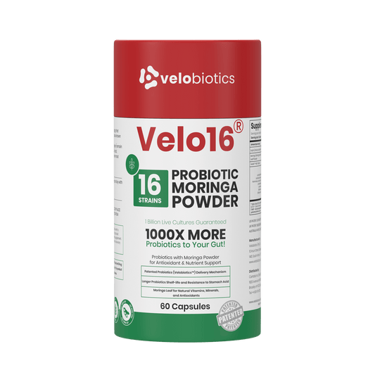 Velo16 Probiotics Moringa