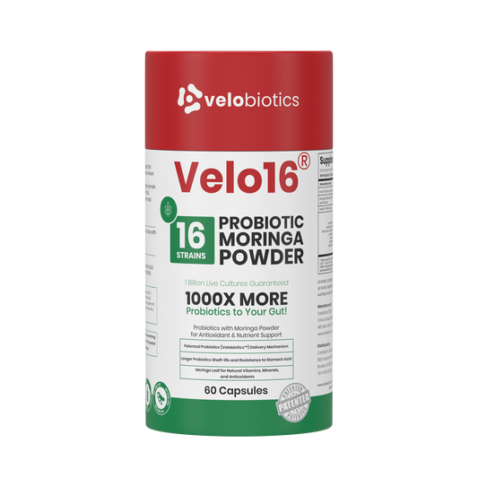Velo16 Probiotics Moringa powder capsules with 16 strains for gut health and antioxidant support, 60 count bottle