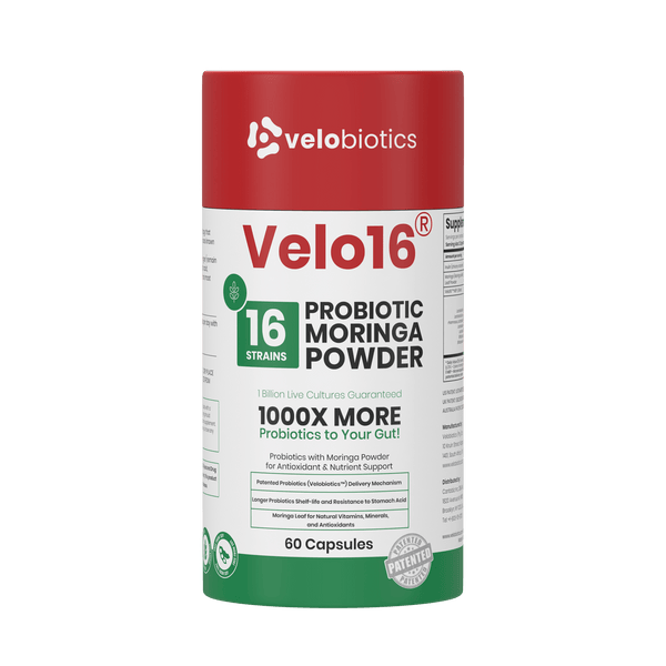 Velo16 Probiotics Moringa - Velobiotics