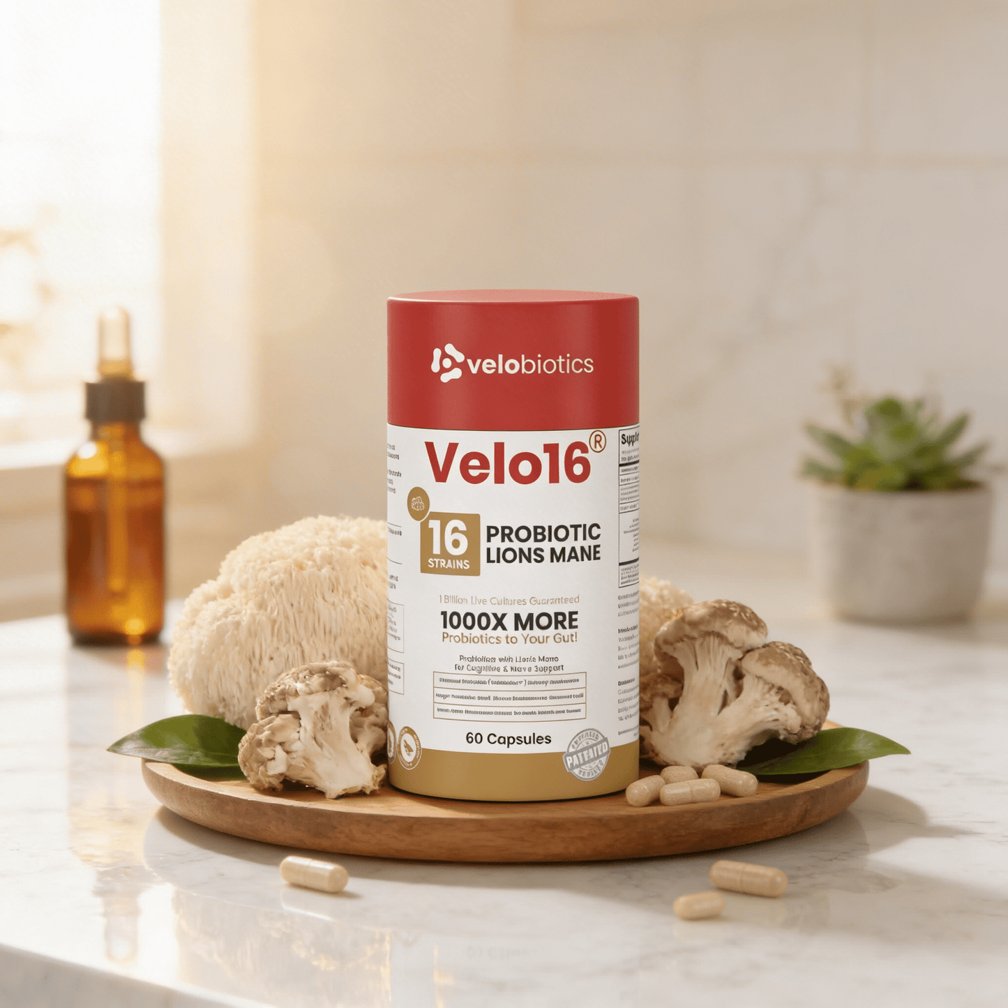 Velo16 Probiotics Lion's Mane - Velobiotics