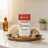 Velo16 Probiotics Lion's Mane - Velobiotics