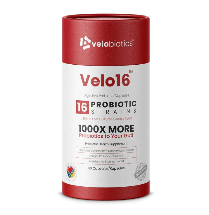 Velo16 Probiotic Digestive Capsules with advanced gut health delivery technology.