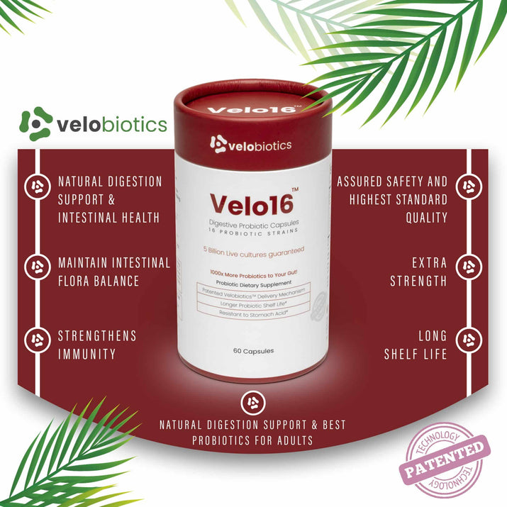 Velo16 Probiotic Capsules packaging showcasing natural digestion support and patented delivery technology.