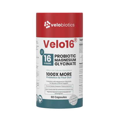 Velo16 Probiotics Magnesium Glycinate supplement bottle with 16-strain probiotics for gut and muscle support, 60 capsules.