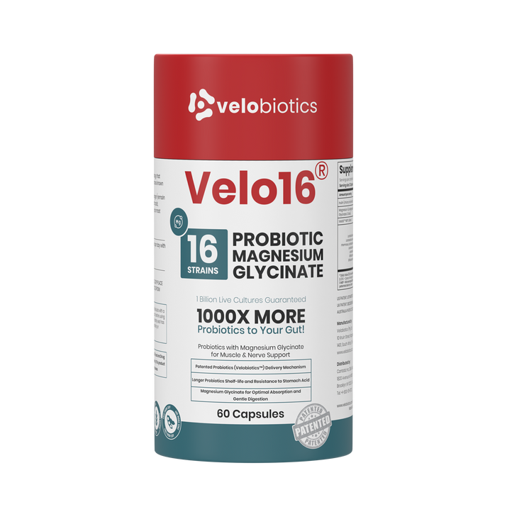 Velo16 Probiotics Magnesium Glycinate supplement bottle with 16-strain probiotics for gut and muscle support, 60 capsules.
